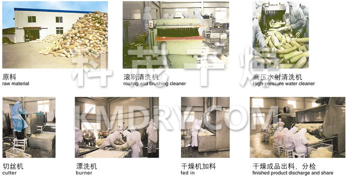 DWC Series Dryer for Vegetable Dehydration